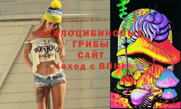 кокс Аркадак